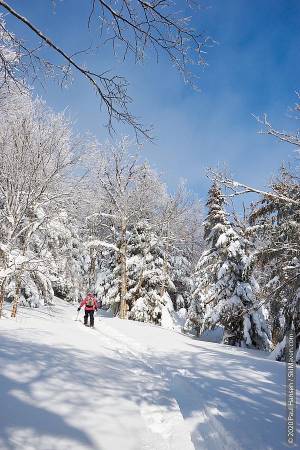 Photo of skier on a snowy sidehill in the sunshine