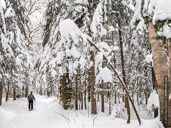 December 2016 Vermont backcountry skiing