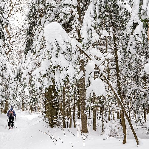 December 2016 Vermont backcountry skiing