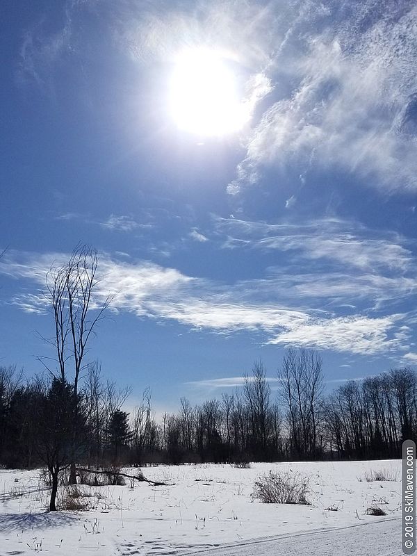 Bright sunshine on sunny field next to ski trail