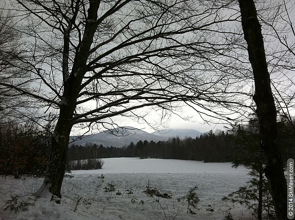 View from Stowe's Wiessner Woods