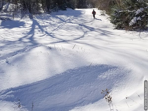 Photo of a skier making a turn on a snowy trail