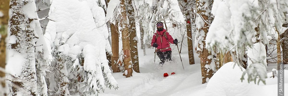 Photo of female skier in snowy backcountry