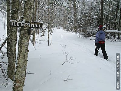 Backcountry ski touring in northern Vermont