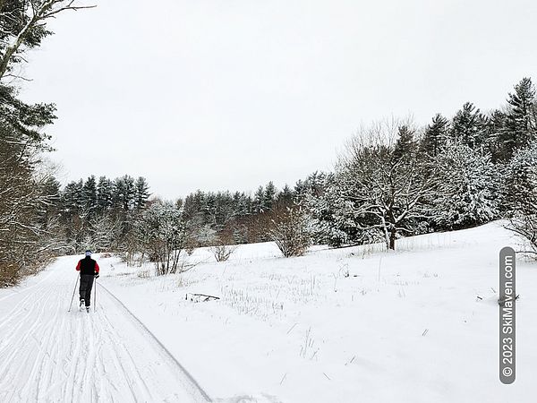 A cross-country skier moves along a ski trail in a meadow