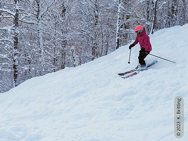 Skier descends a snowy ski trail with snowy hardwood trees in background