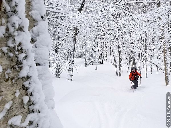 Skiing in the backcountry trails in Bolton, Vermont.