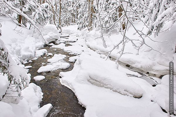 A wet Joiner Brook with fresh snow.