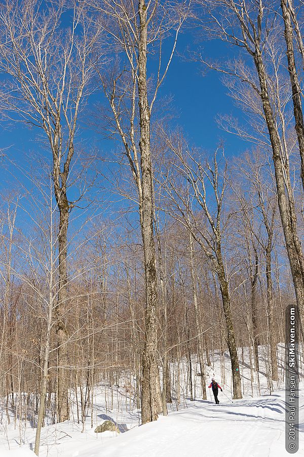 Camel's Hump cross-country