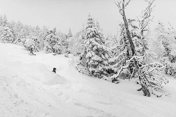 Photo of skier throwing snow during a turn on a snowy slope