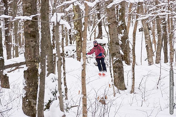 Photo of skier making turns between hardwood trees