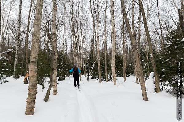 Backcountry ski tour in Stowe, Vermont