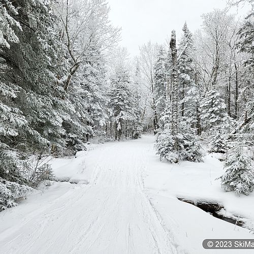Snowy trees and a snowy ski trail