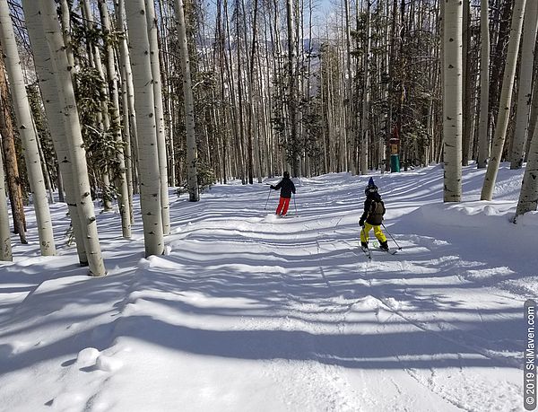 Two skiers ski through the aspens on Via Vito.