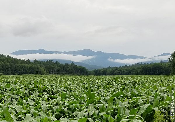 View in Stowe, Vermont