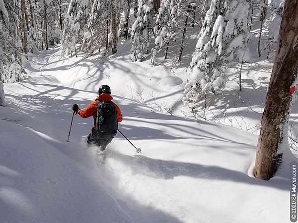 Photo of a telemark skier skiing through the powder