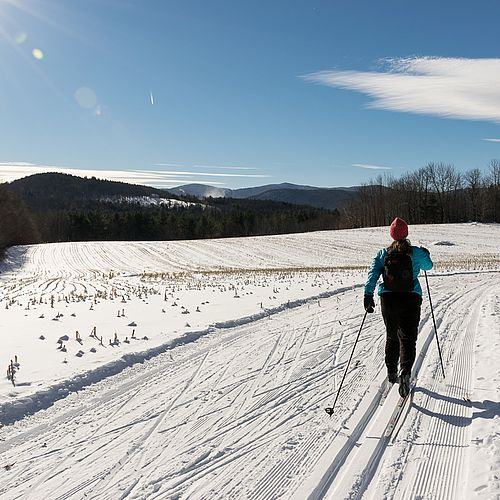 Cross-country skiing at Ole's nordic center