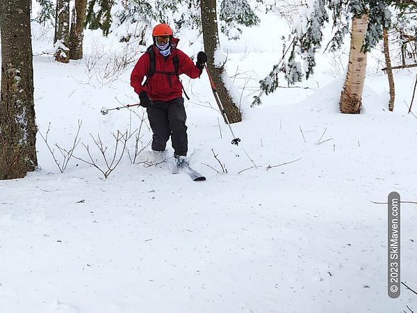 Skier makes a turn through the trees