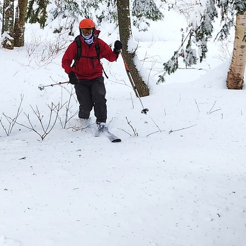 Skier makes a turn through the trees