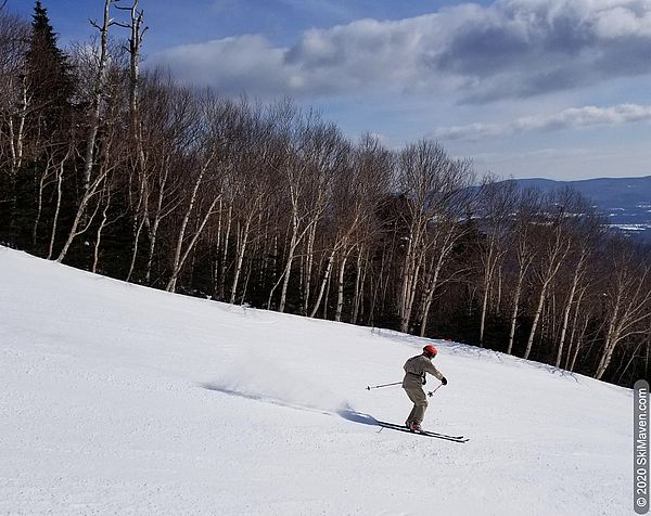 Photo of skier zipping down a birch-lined trail