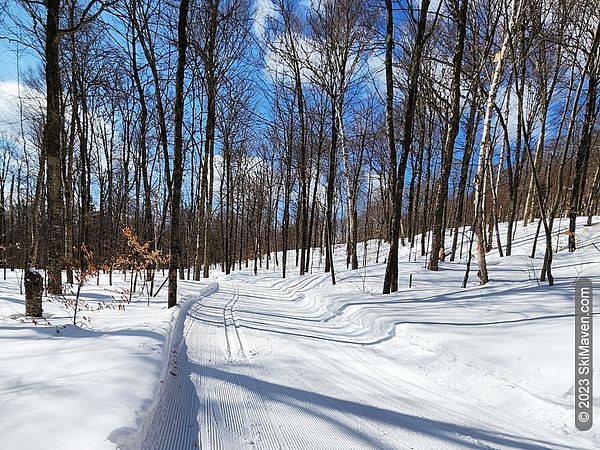 A well-groomed cross-country ski trail