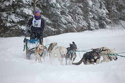 Fresh snow and sled dog racing, too!