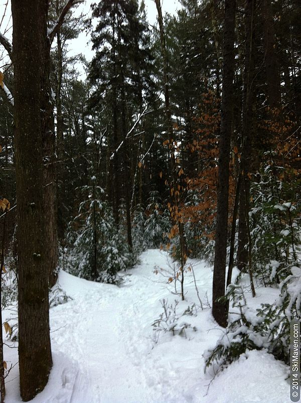 Cross-country ski in Stowe