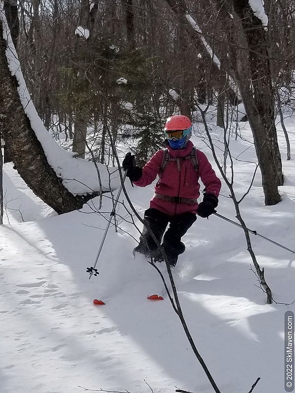 Skier makes a turn through powder in the woods