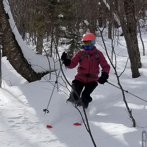 Skier makes a turn through powder in the woods