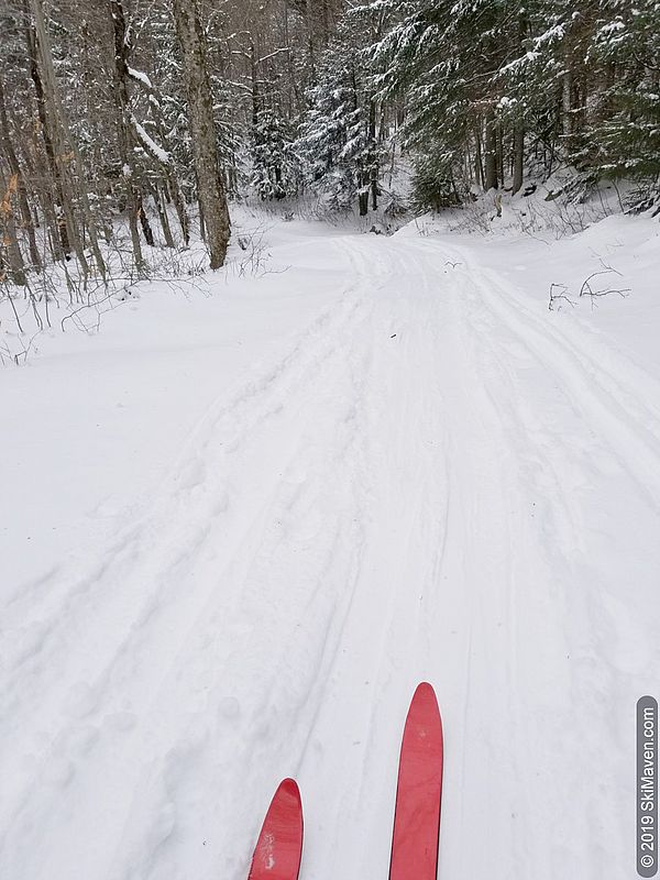 Photo of red skis on a snowy trail