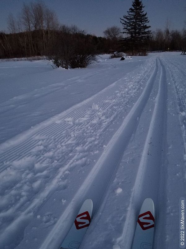 Cross-country skis in a track at twilight