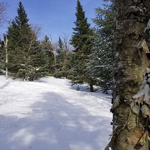 Snowy glades and blue sky