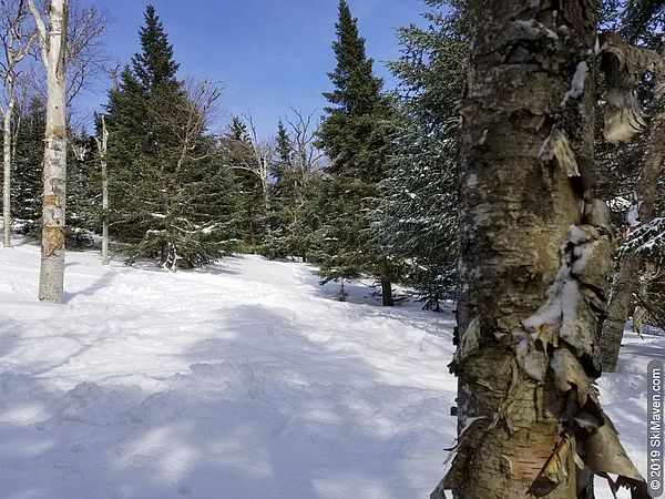 Snowy glades and blue sky