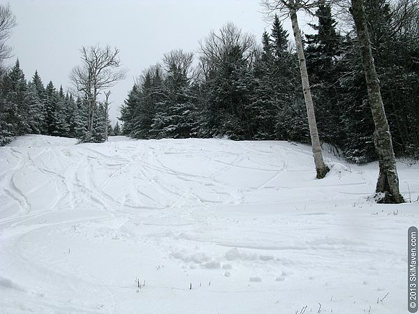 Natural snow trail called Glade