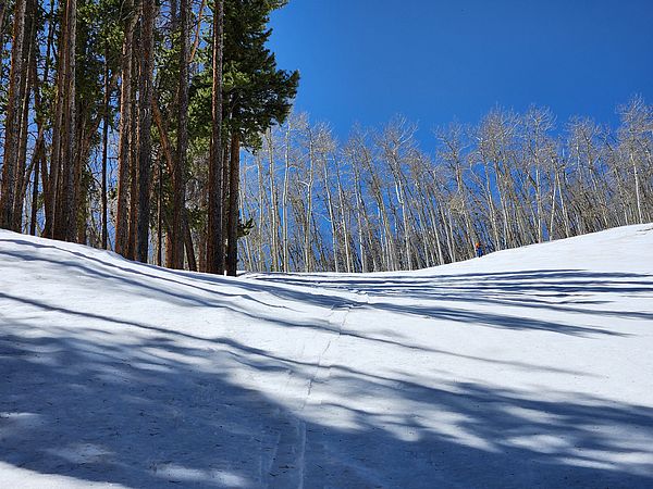 Skinning up toward aspens and blue sky at Beaver Creek