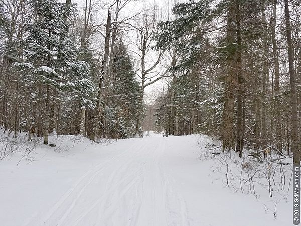 Photo of a snowy ski trail in the woods