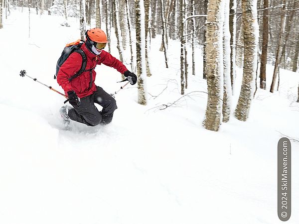 Tlte skier does a tele turn in powdery snow