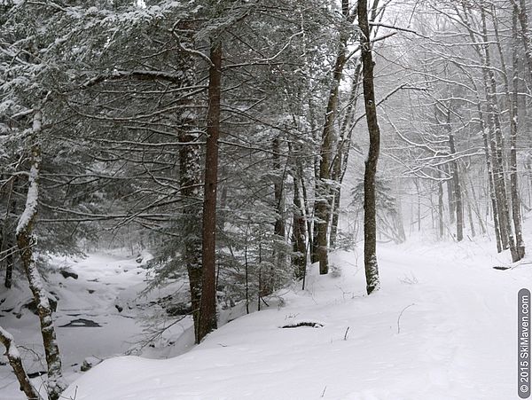 Nordic skiing in fresh powder in Stowe