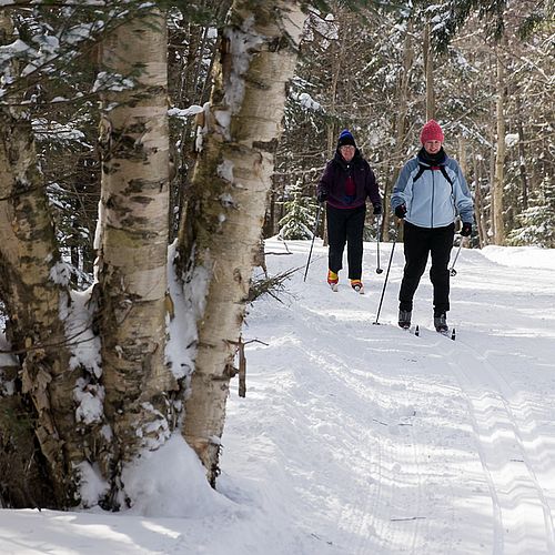 Cross-country skiing in fresh snow in Stowe