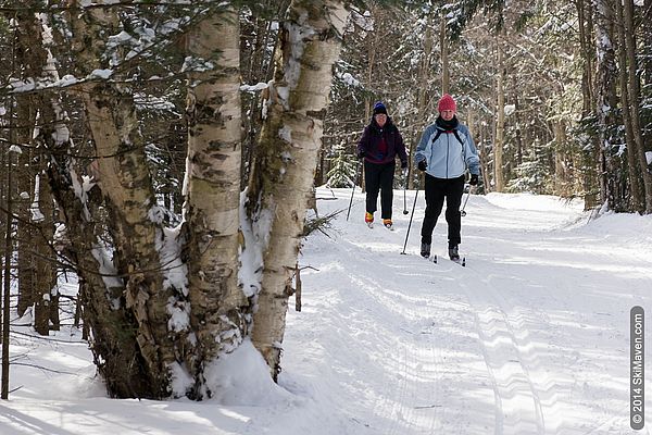 Cross-country skiing in fresh snow in Stowe