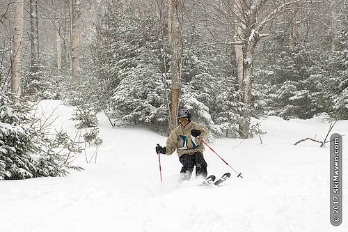 Lift ticket discounts at Mad River Glen, Vermont Photo of skier enjoying powder at Mad River Glen, VT