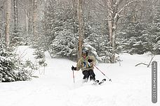 Lift ticket discounts at Mad River Glen, Vermont Photo of skier enjoying powder at Mad River Glen, VT
