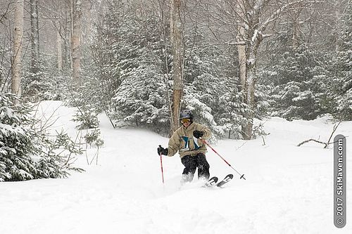 Photo of skier enjoying powder at Mad River Glen, VT