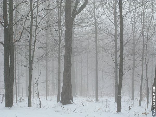 A moody scene at Trapp Family Lodge Nordic Center