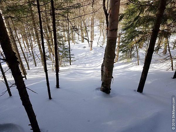 Looking down at some glades