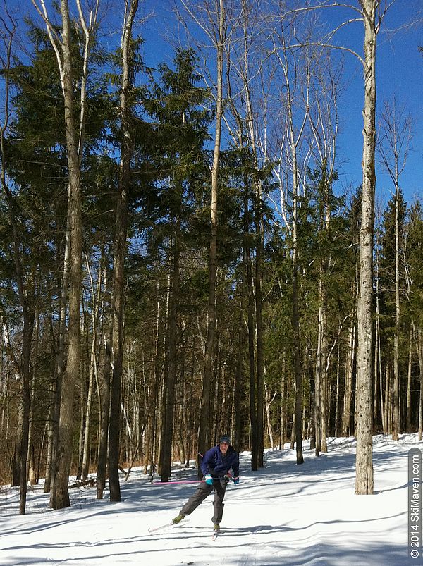 Camel's Hump Nordic trail network