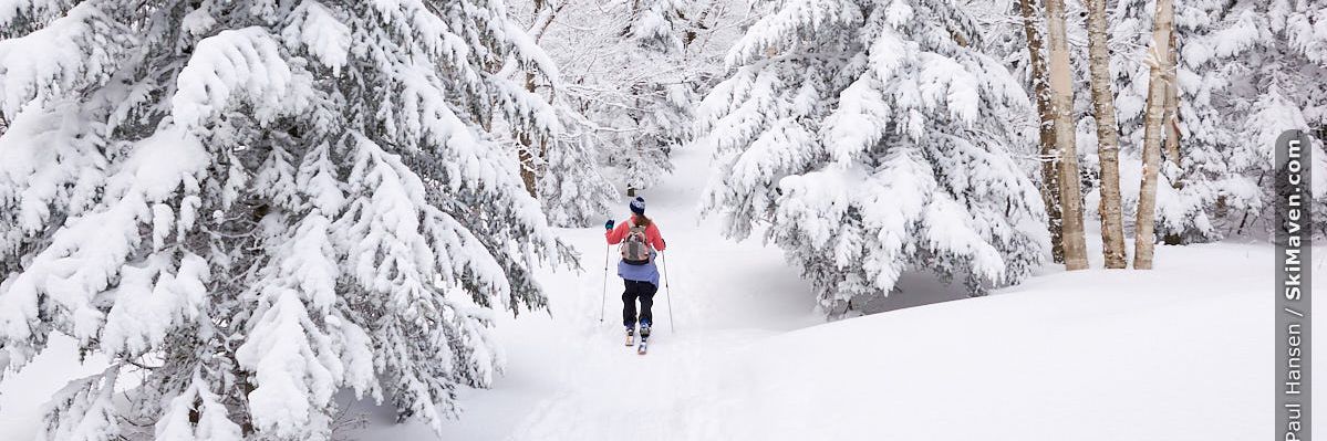 Photo of woman backcountry skiing in very snowy trees