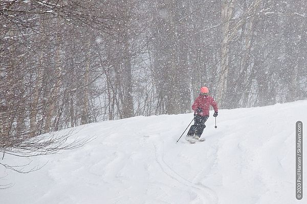 Photo of skier turning in soft snow while it snows