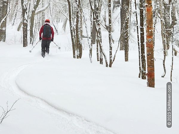 A tele skier leaves a track in fresh snow