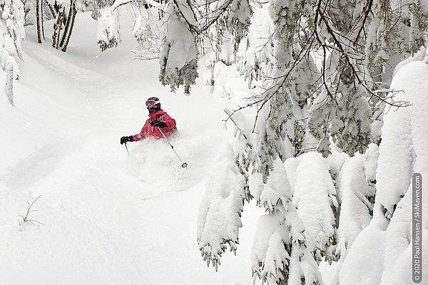 Photo of skier in deep powder that hides lower half of her body